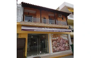 Vila akis sarti 2216