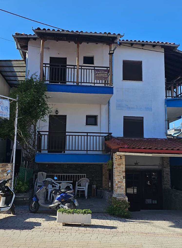 Vila kastor1
